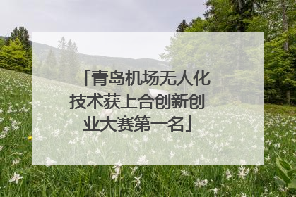 青岛机场无人化技术获上合创新创业大赛第一名